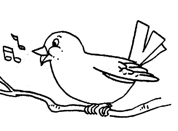 singing bird drawing