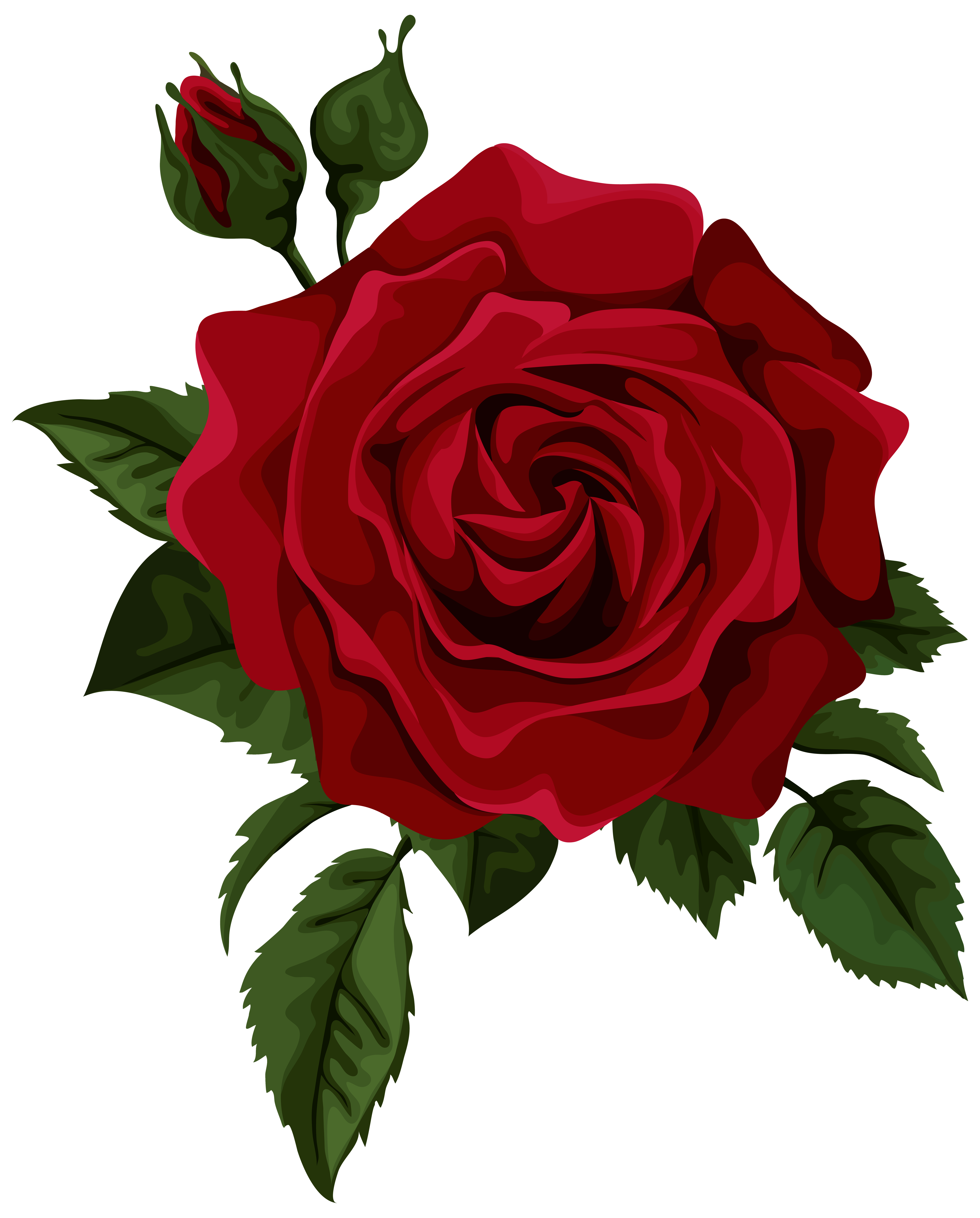 Red rose clipart with quotes 