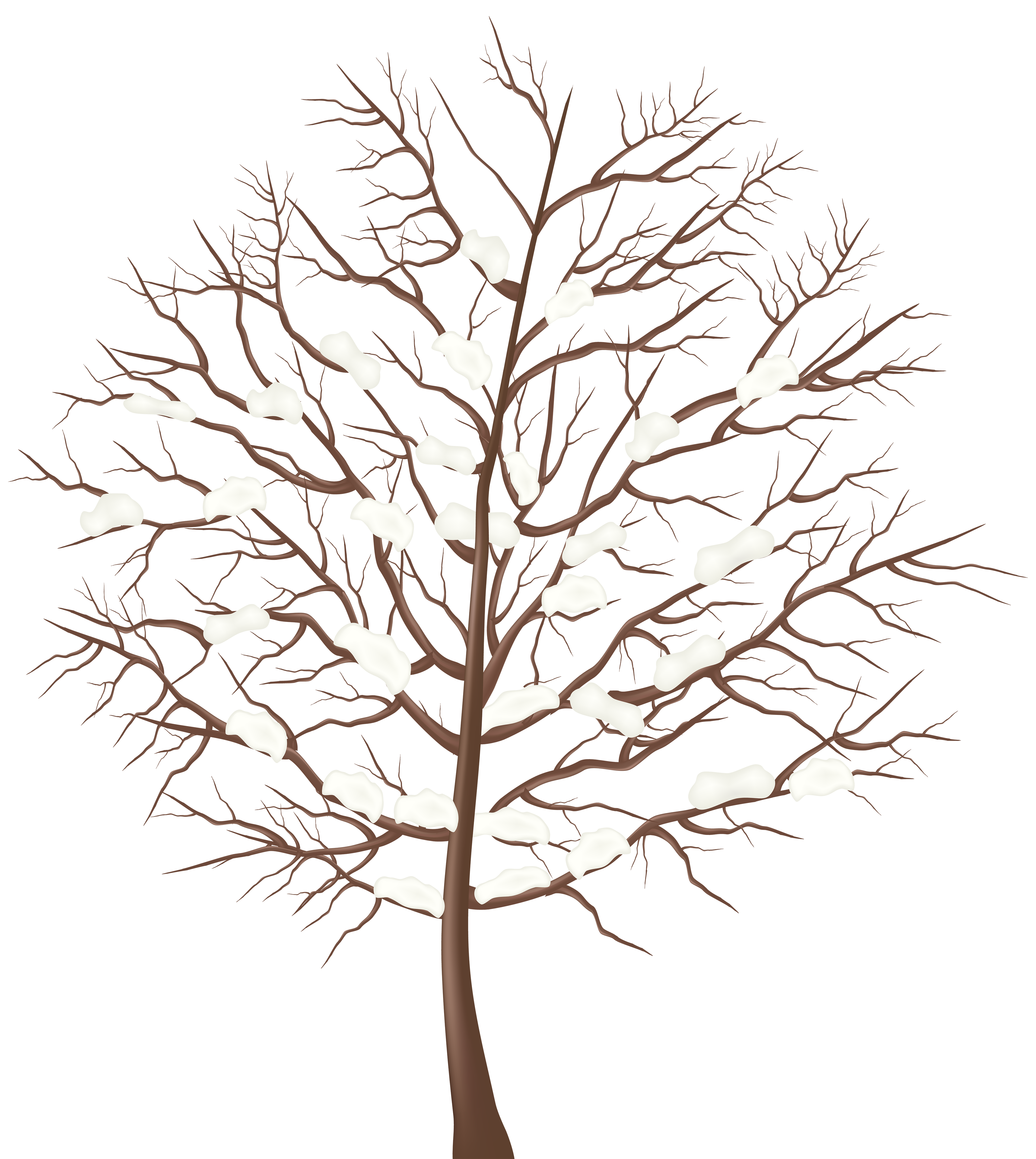 Winter Tree Transparent PNG Clip Art Image 