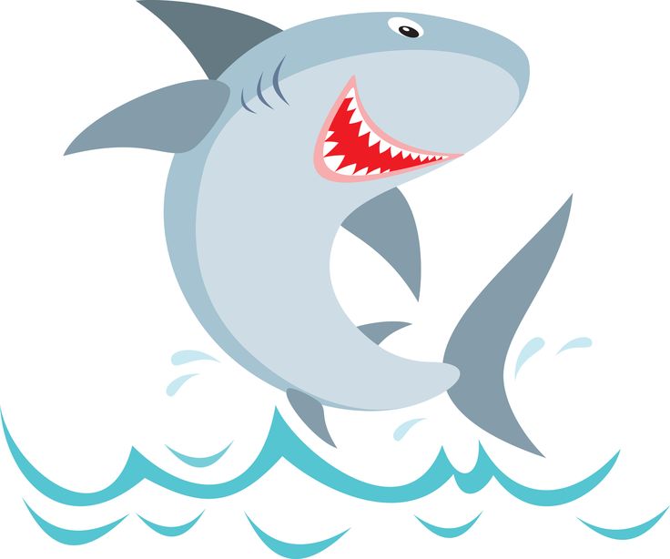 Shark Clip Art Image 