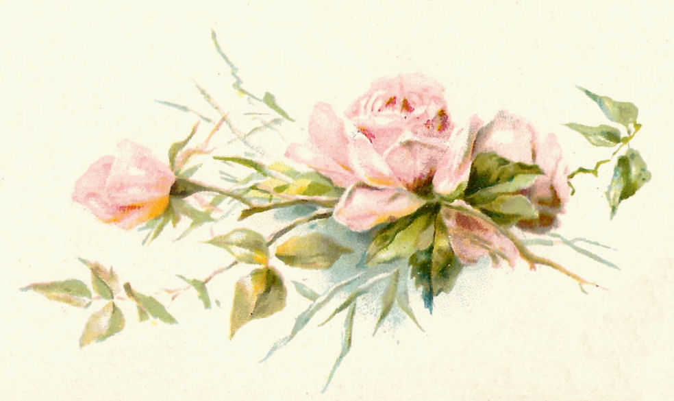 Free Wedding Rose Cliparts, Download Free Wedding Rose