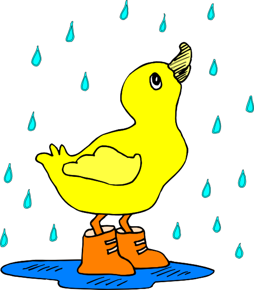 Duck In Rain Clipart 
