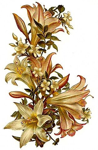 Victorian Summer Flowers Clip Art 