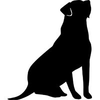 Labrador Retriever Dog T 