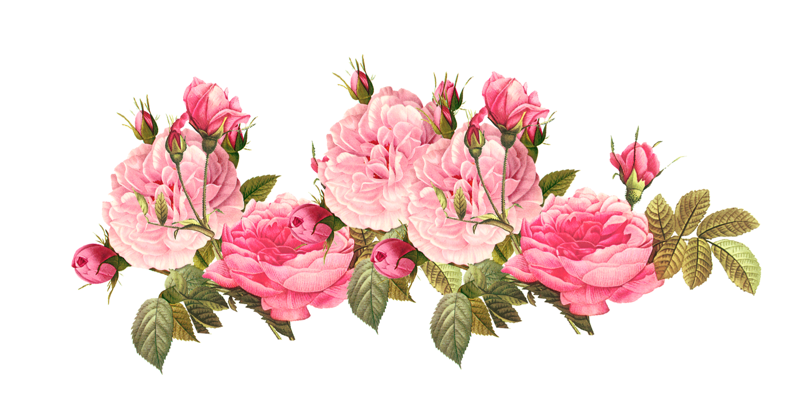 staunch clipart flowers