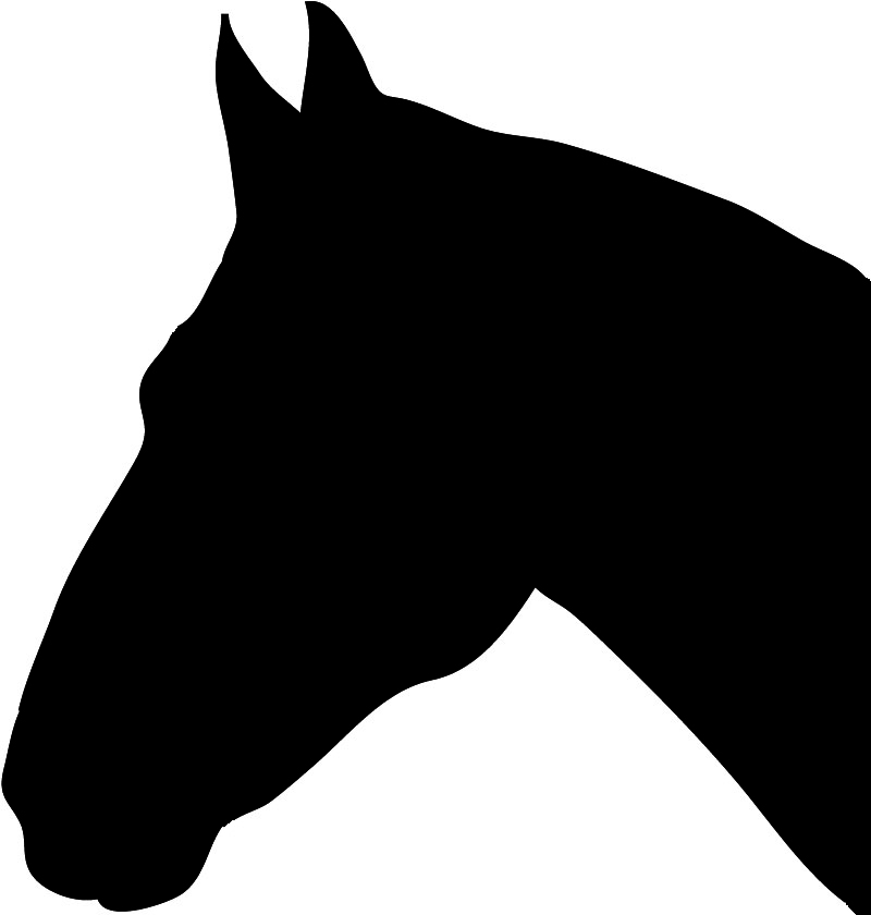 Horse head clip art color 