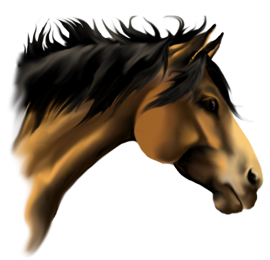 Horse Face Vector Clip Art 