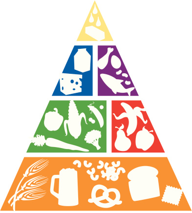 Food pyramid clip art 