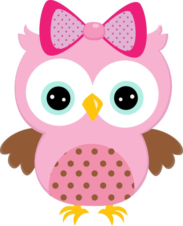 Owl Clipart 