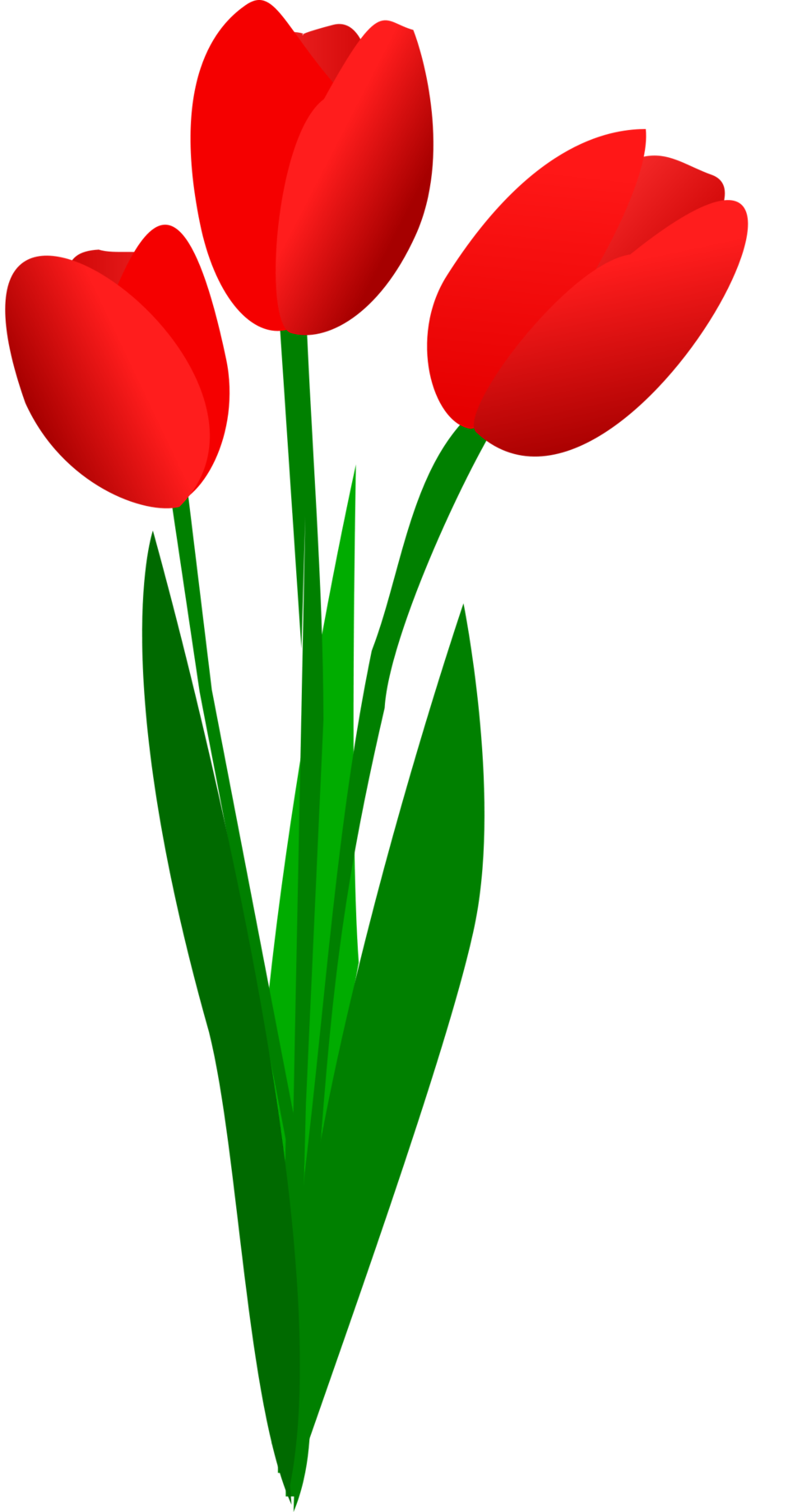 Tulip Bouquet Clip Art 43579 