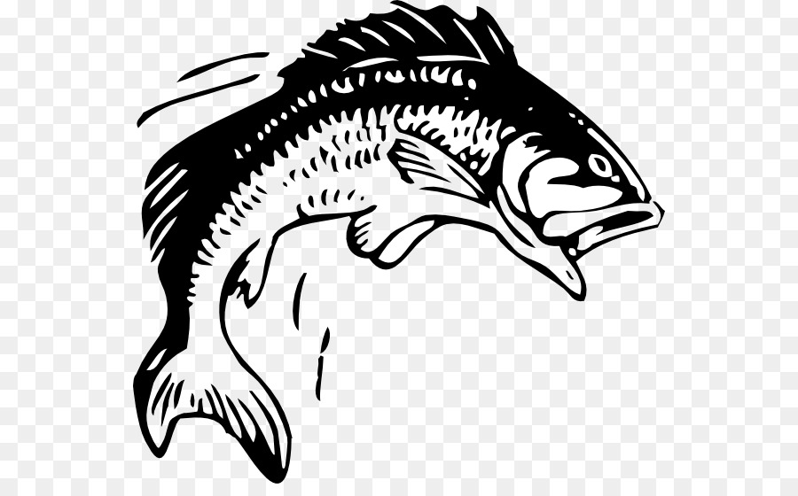 Bass Fish Outline 