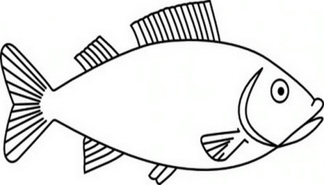 Fish Clipart Outline 