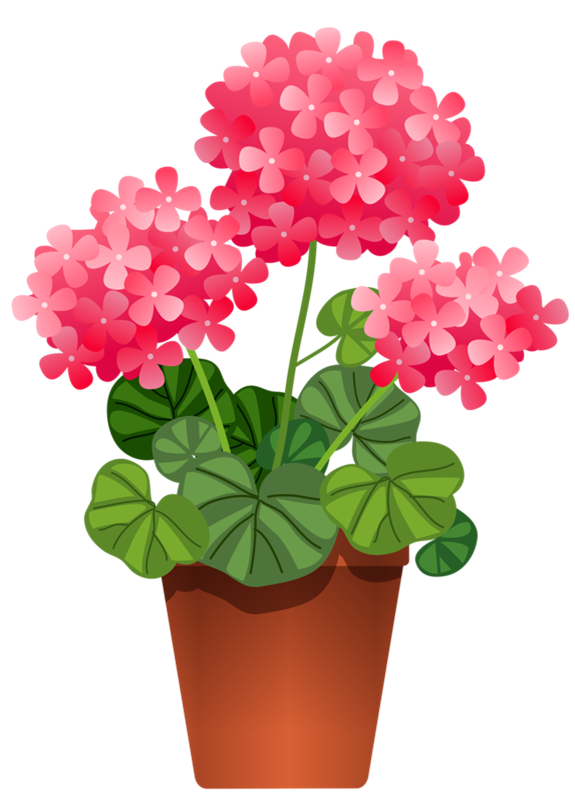 POTTED FLOWERS 