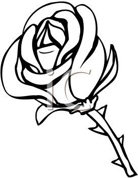 Clipart rose flower black and white 