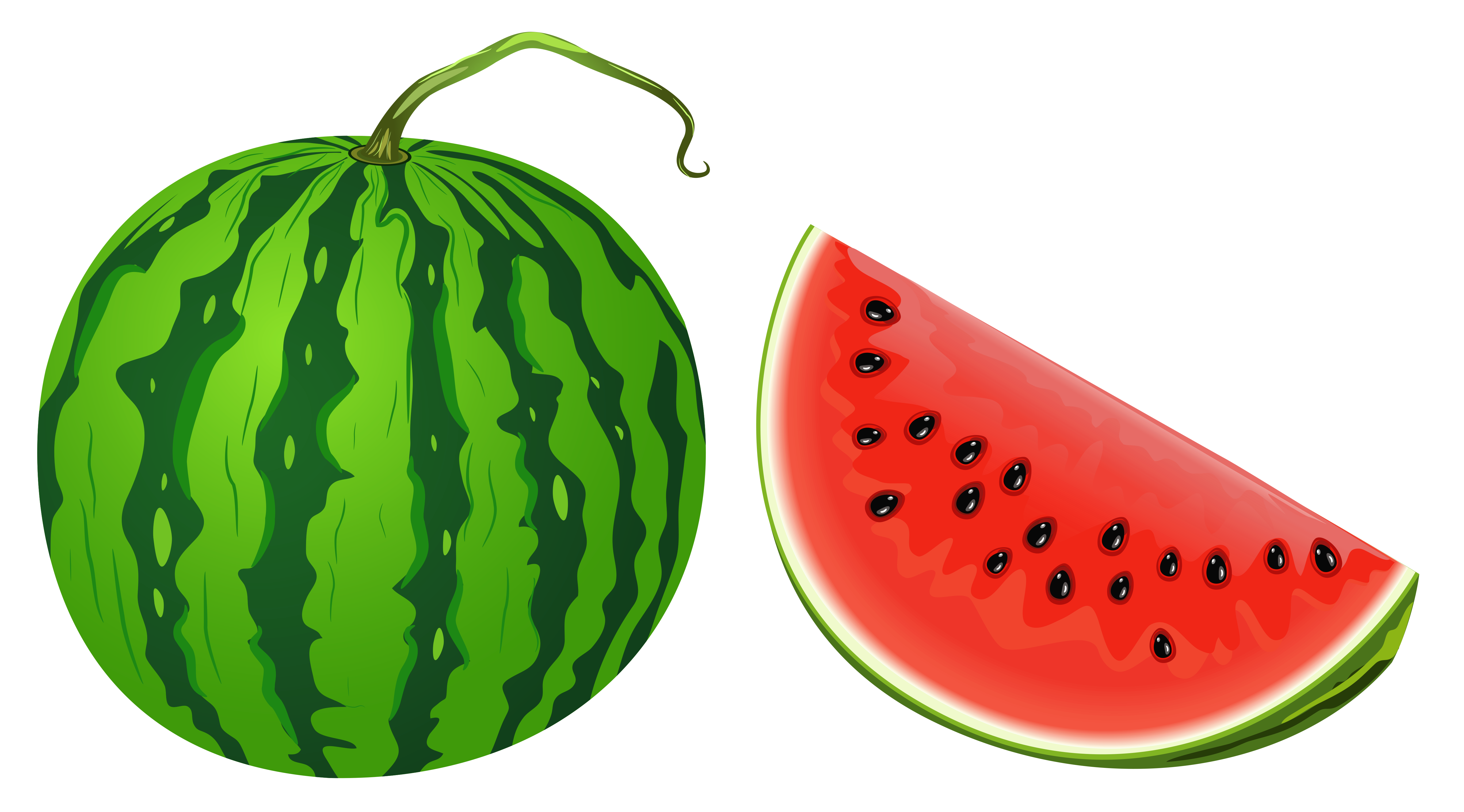 Watermelon PNG Vector Clipart Image 