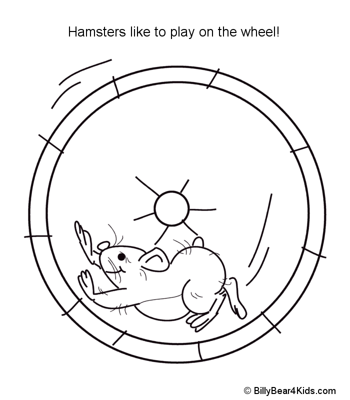 Hamster In A Cage Clipart Black And White 48227 