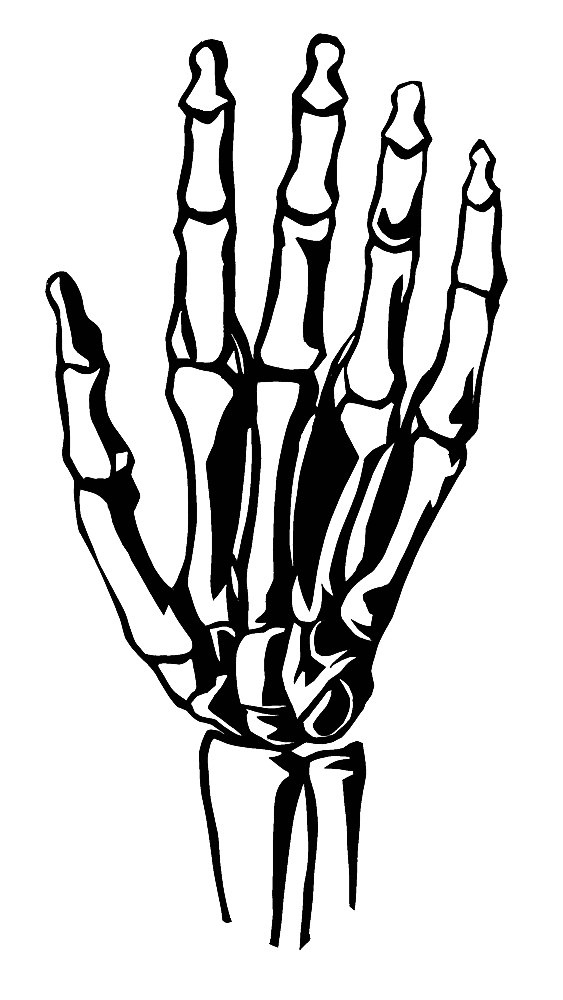 Skeleton Hand Printable Printable Word Searches