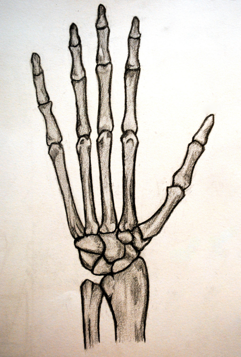 skeleton hand drawing for tattoo