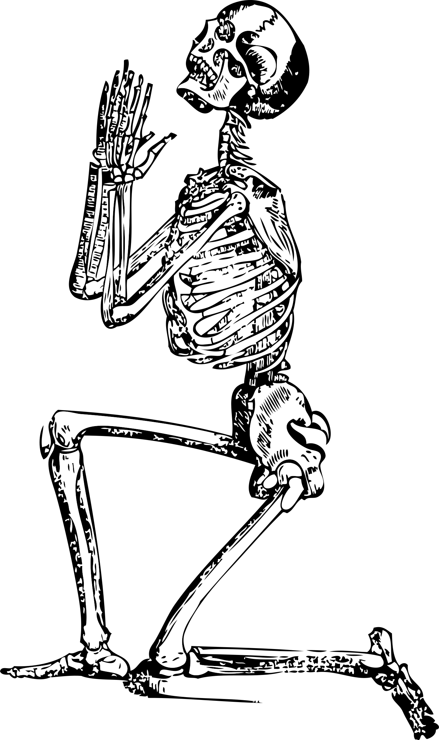 Free Skeleton Hand Cliparts Download Free Skeleton Hand Cliparts Png