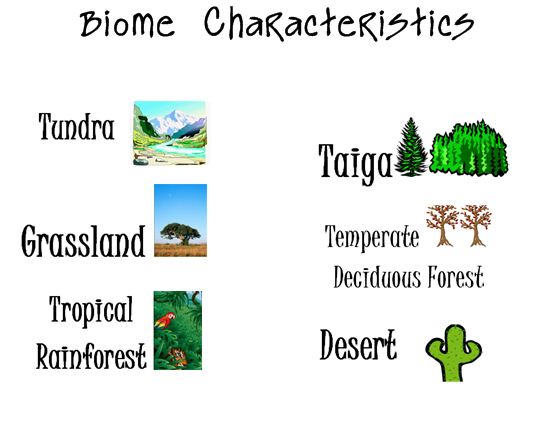 Life, Love, Literacy: Biome Characteristics Multiple Choice 