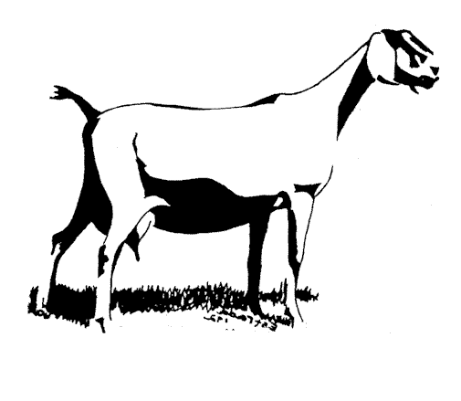 Goat Clip Art 