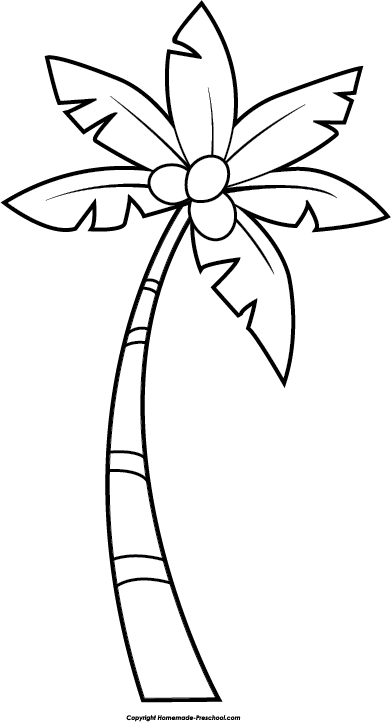 Palm Tree Black And White Clipart 