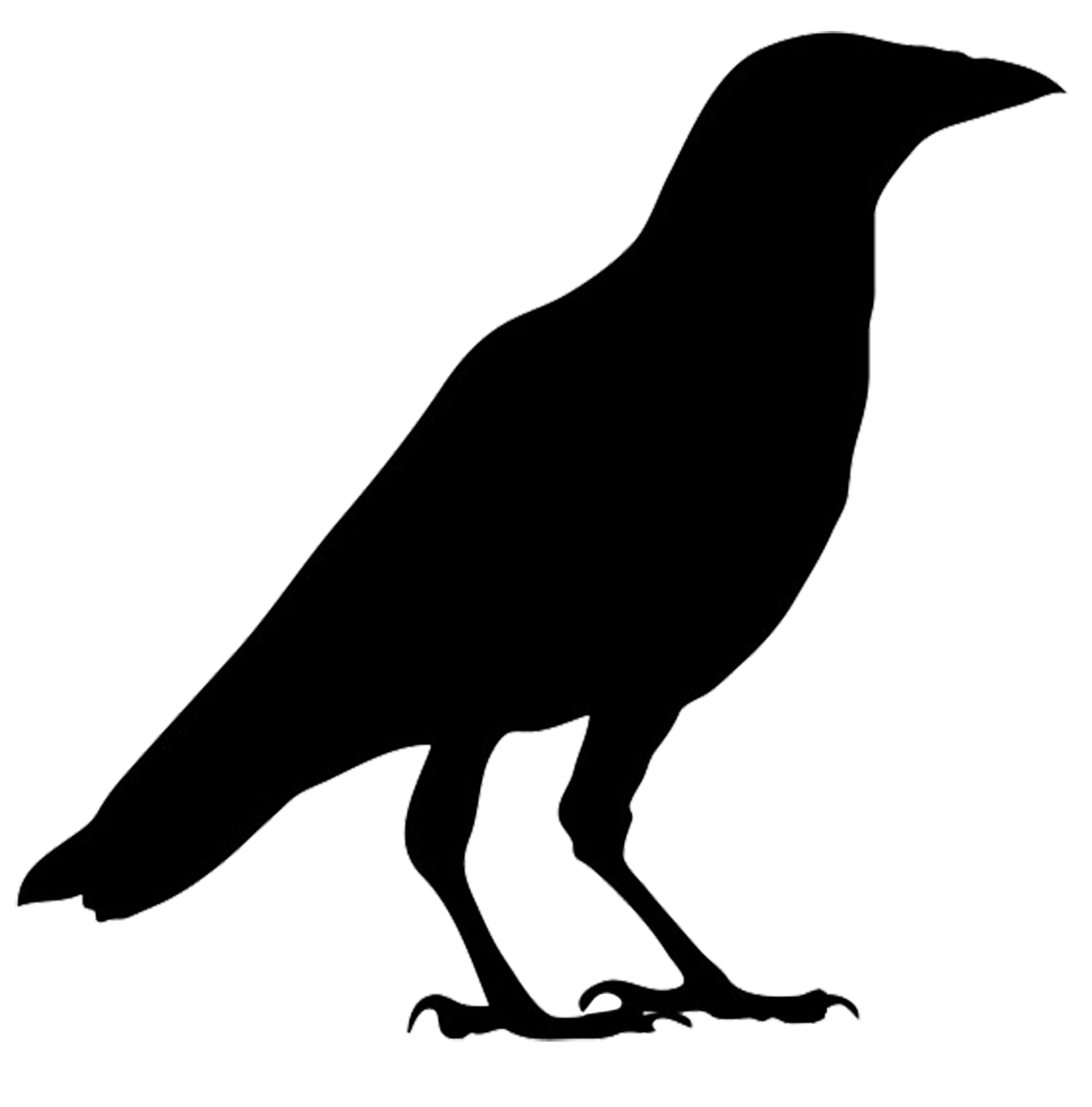 Bird Crow Clipart 