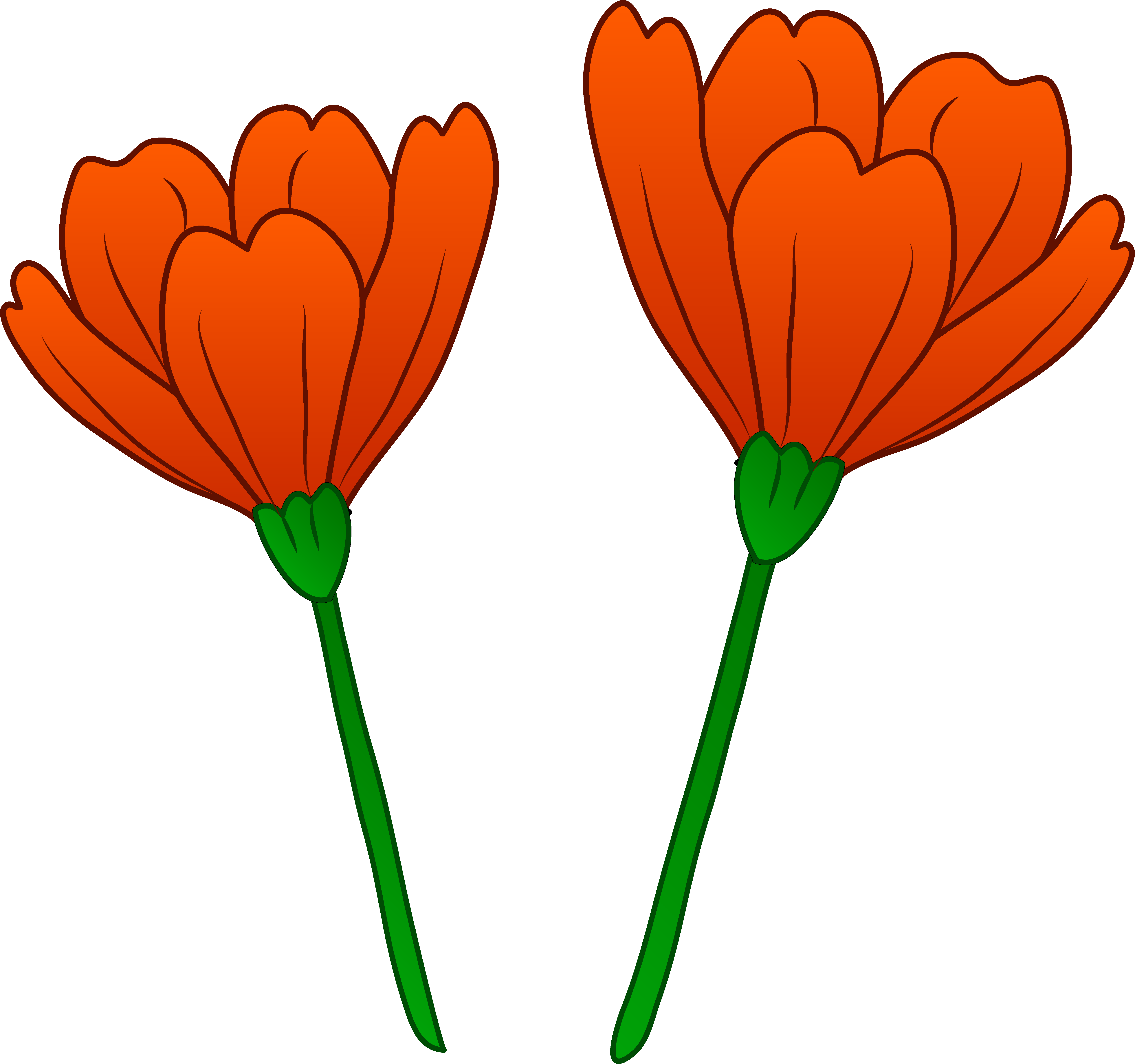 Free Poppy Flower Cliparts, Download Free Poppy Flower Cliparts png