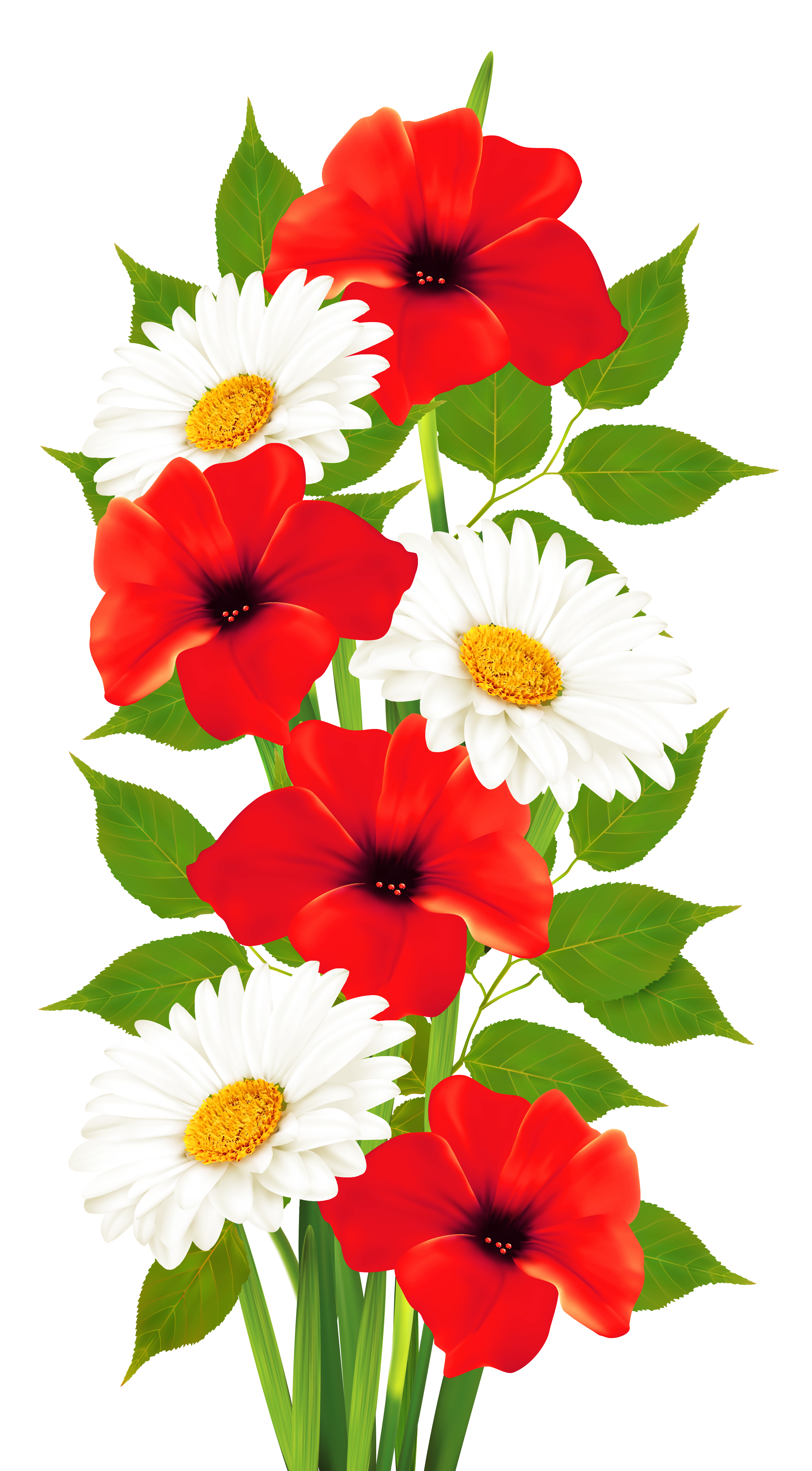 Poppies and Daisies Transparent PNG Clipart 