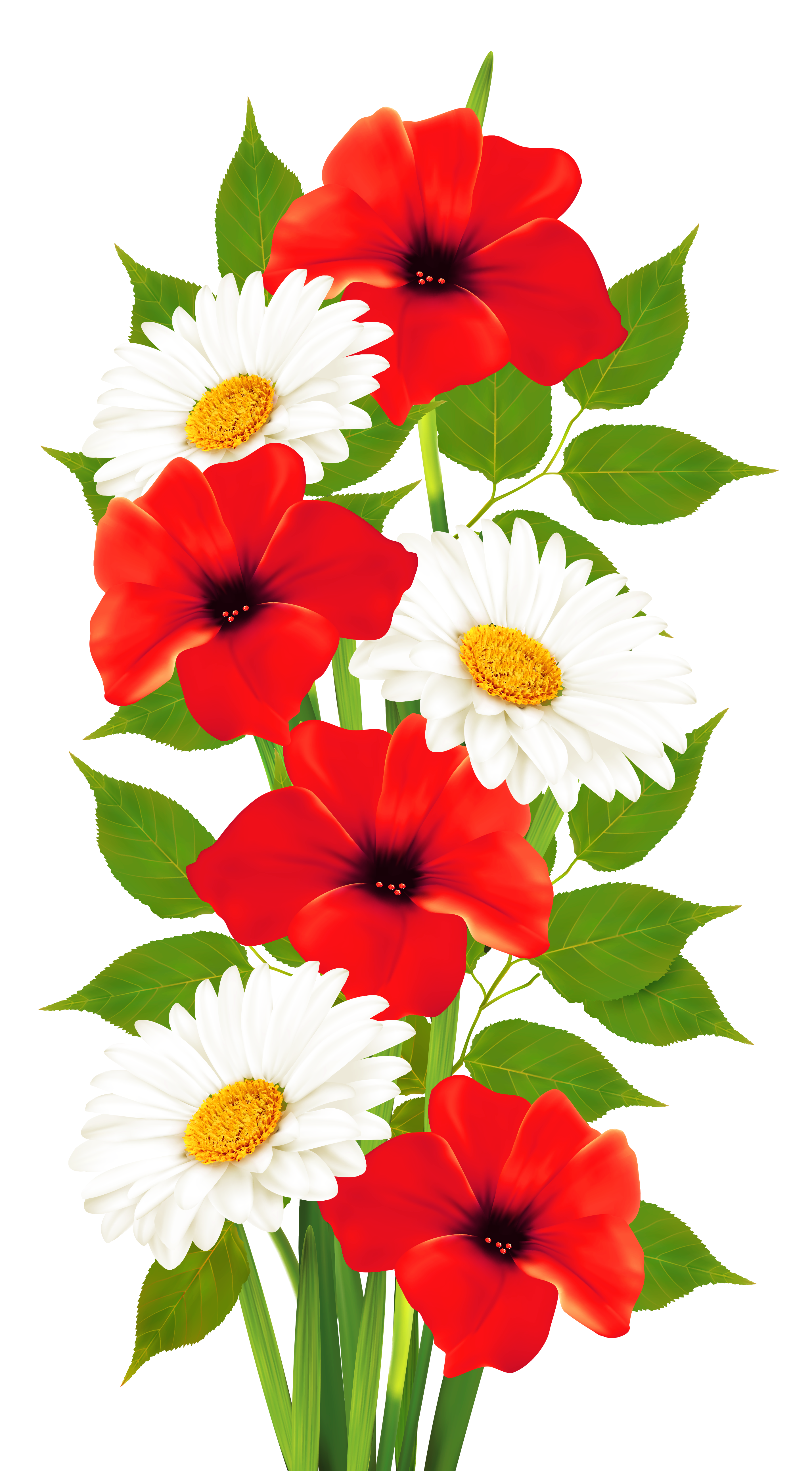 Free Poppy Flower Cliparts, Download Free Poppy Flower Cliparts png