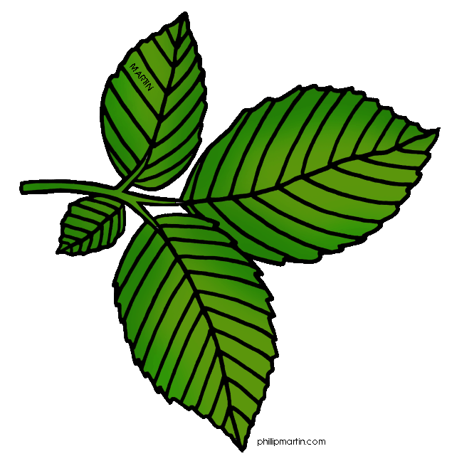Leaf Tree Clipart 