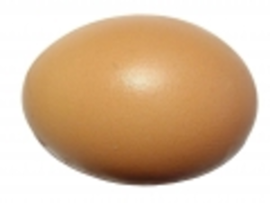Egg clipart no baclground 