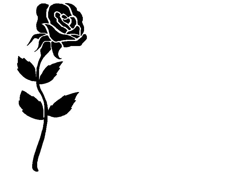 Picture free single black rose 7 Most