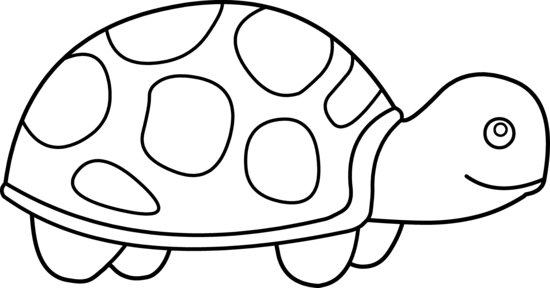 Outline Of A Turtle 