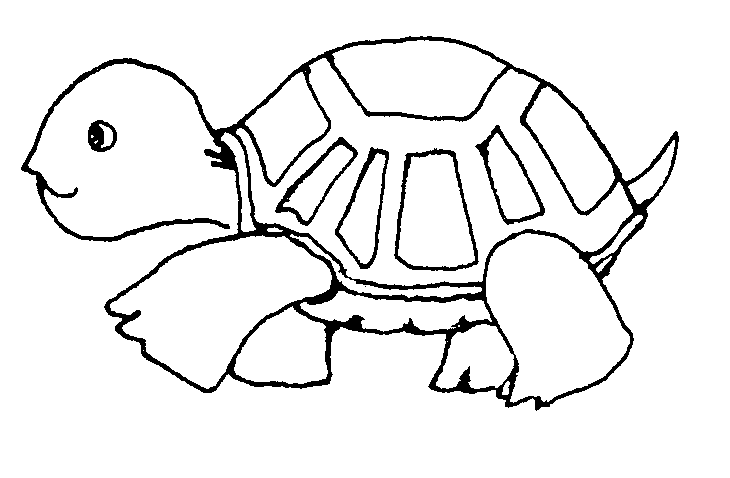 Cartoon turtle clipart black and white 