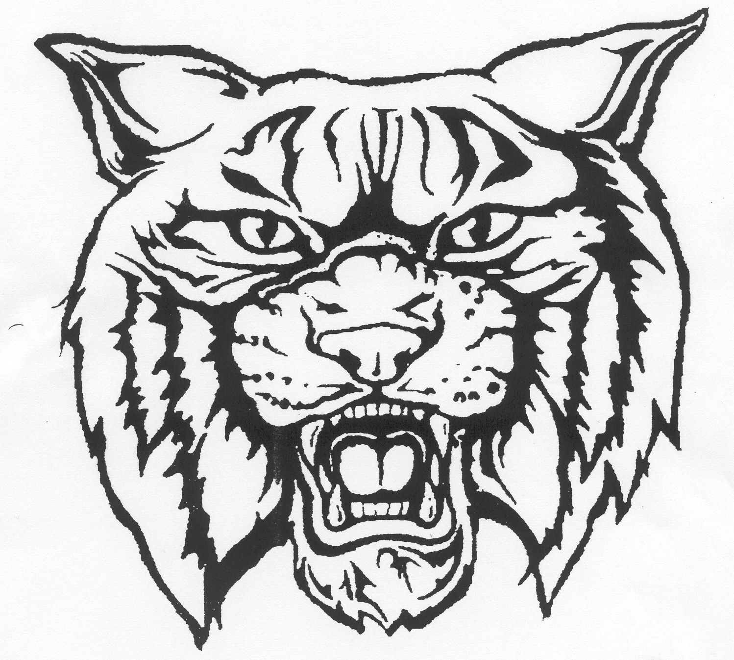Wildcat clipart black and white 