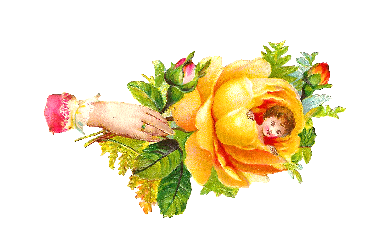 Antique Image: Free Rose Clip Art: Yellow Rose Victorian Scrap 