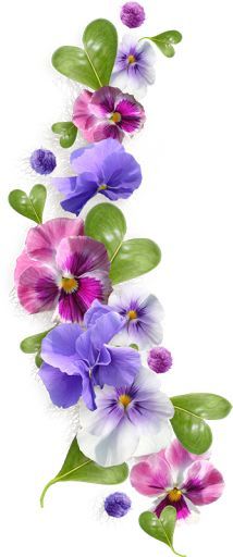 Free Cliparts African Violet, Download Free Clip Art, Free ...