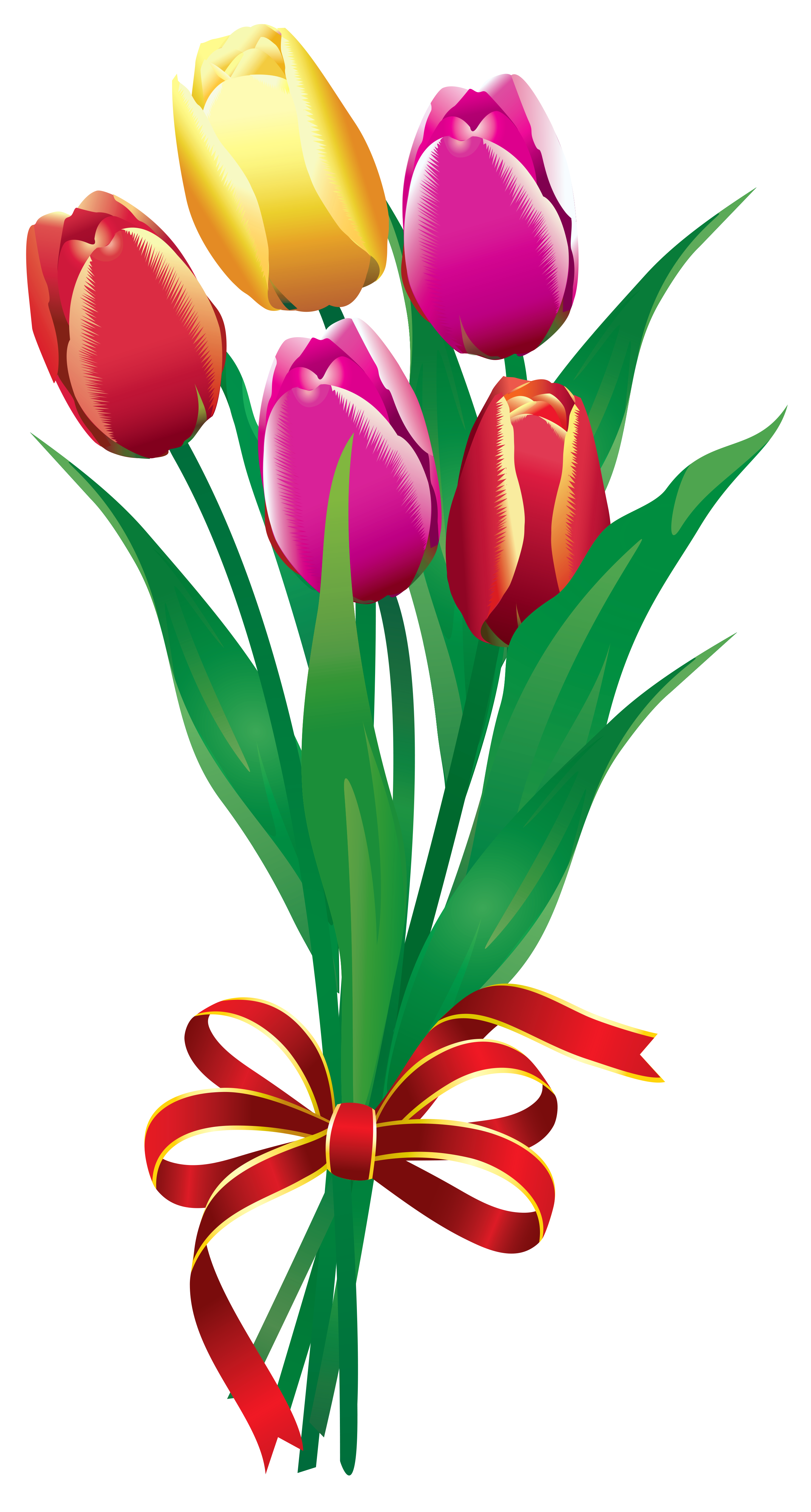 Tulips Image 