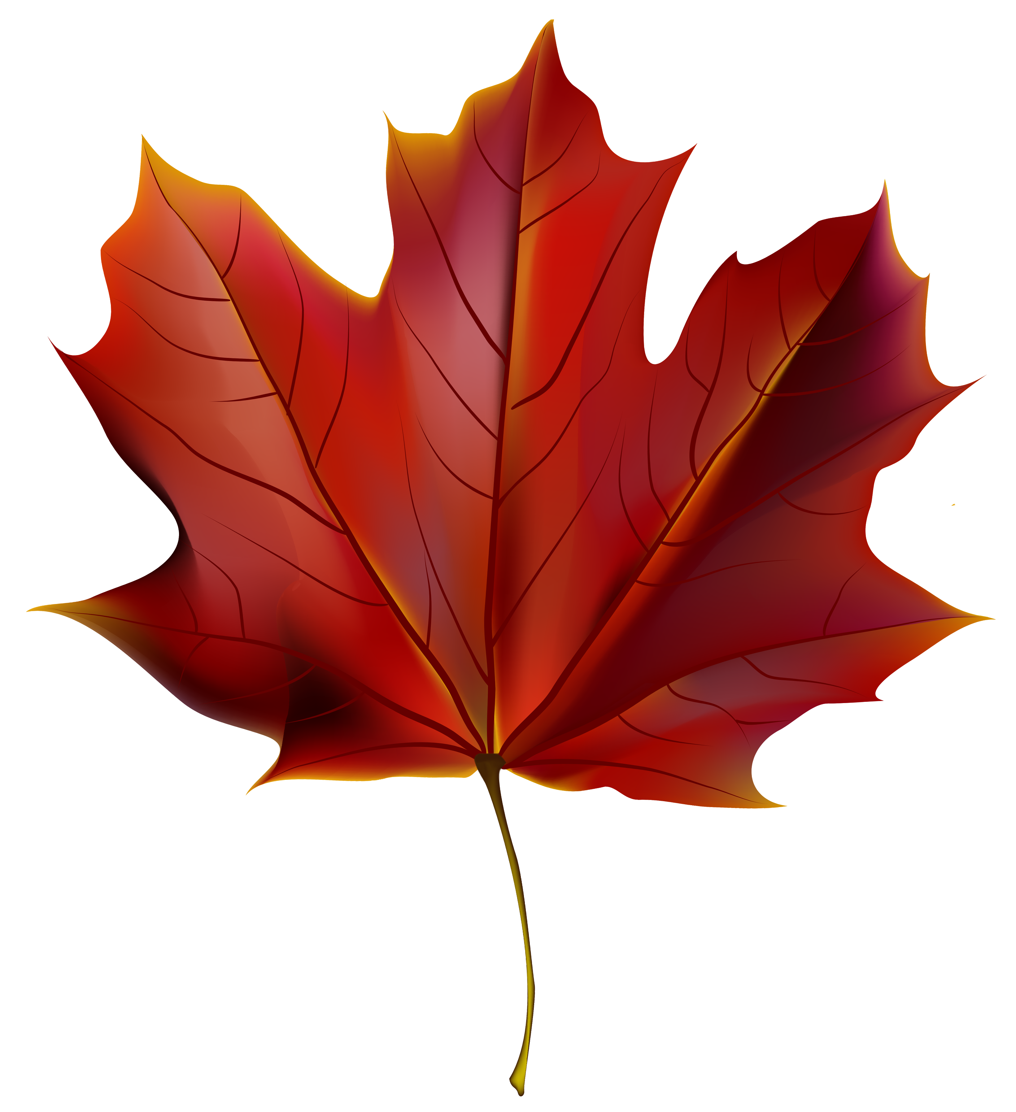 Beautiful Red Autumn Leaf PNG Clipart Image 