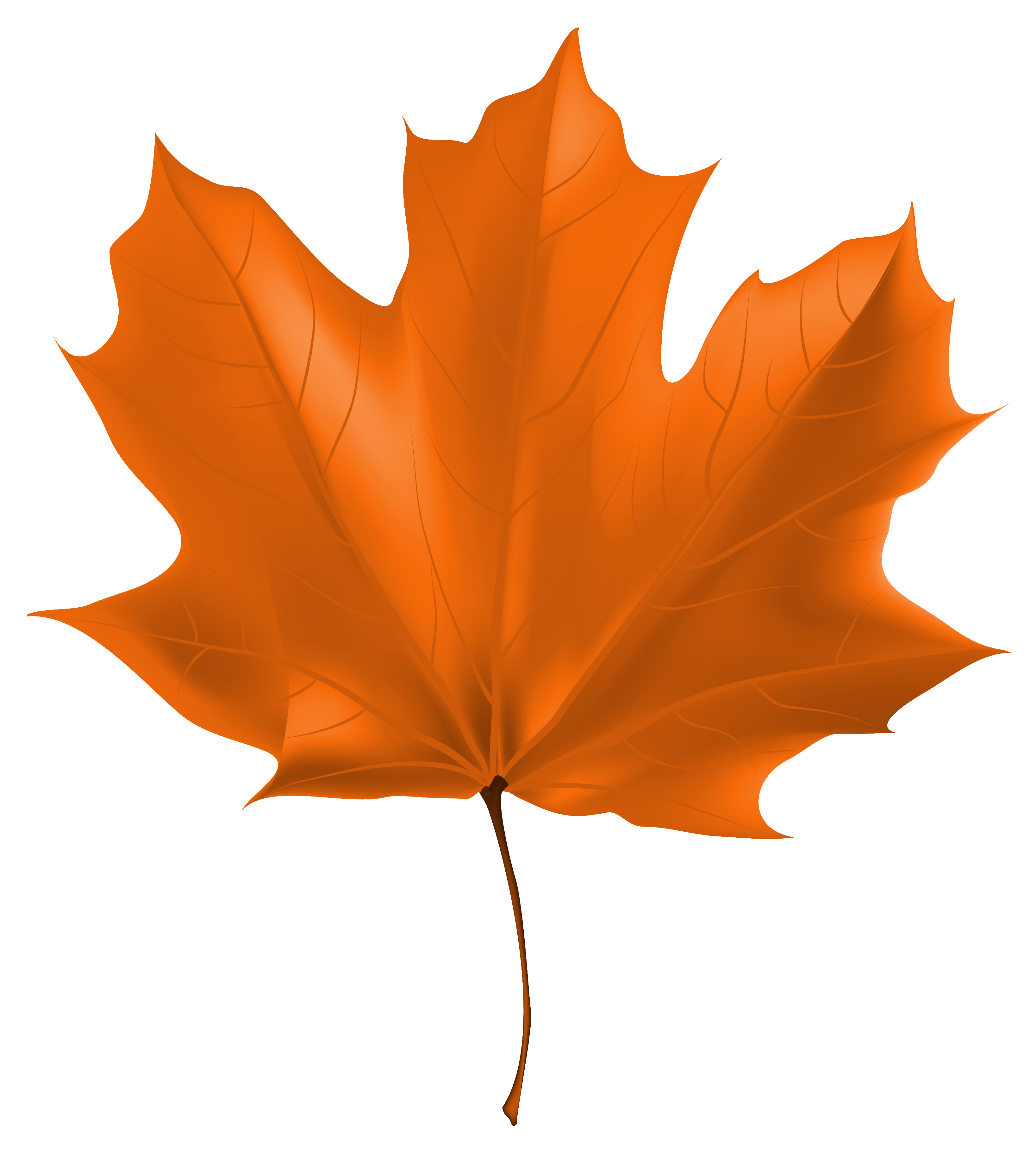 Beautiful Autumn Leaf PNG Clipart Image 