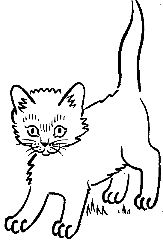Kitten Clipart 