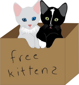 Kittens Clipart 