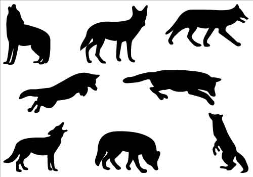 Howling Coyote Clip Art 