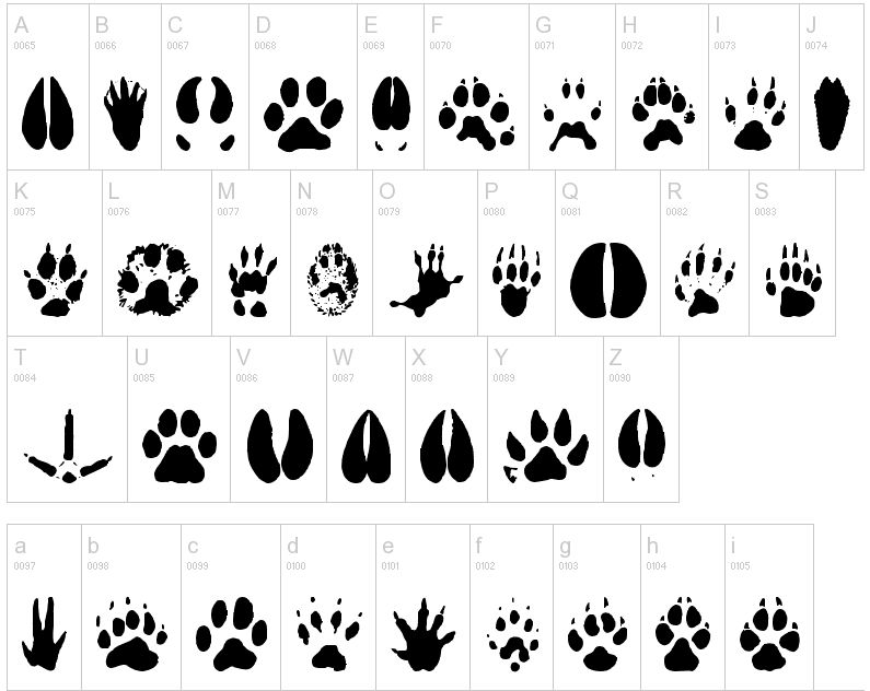 animal footprints free Clip Art Library