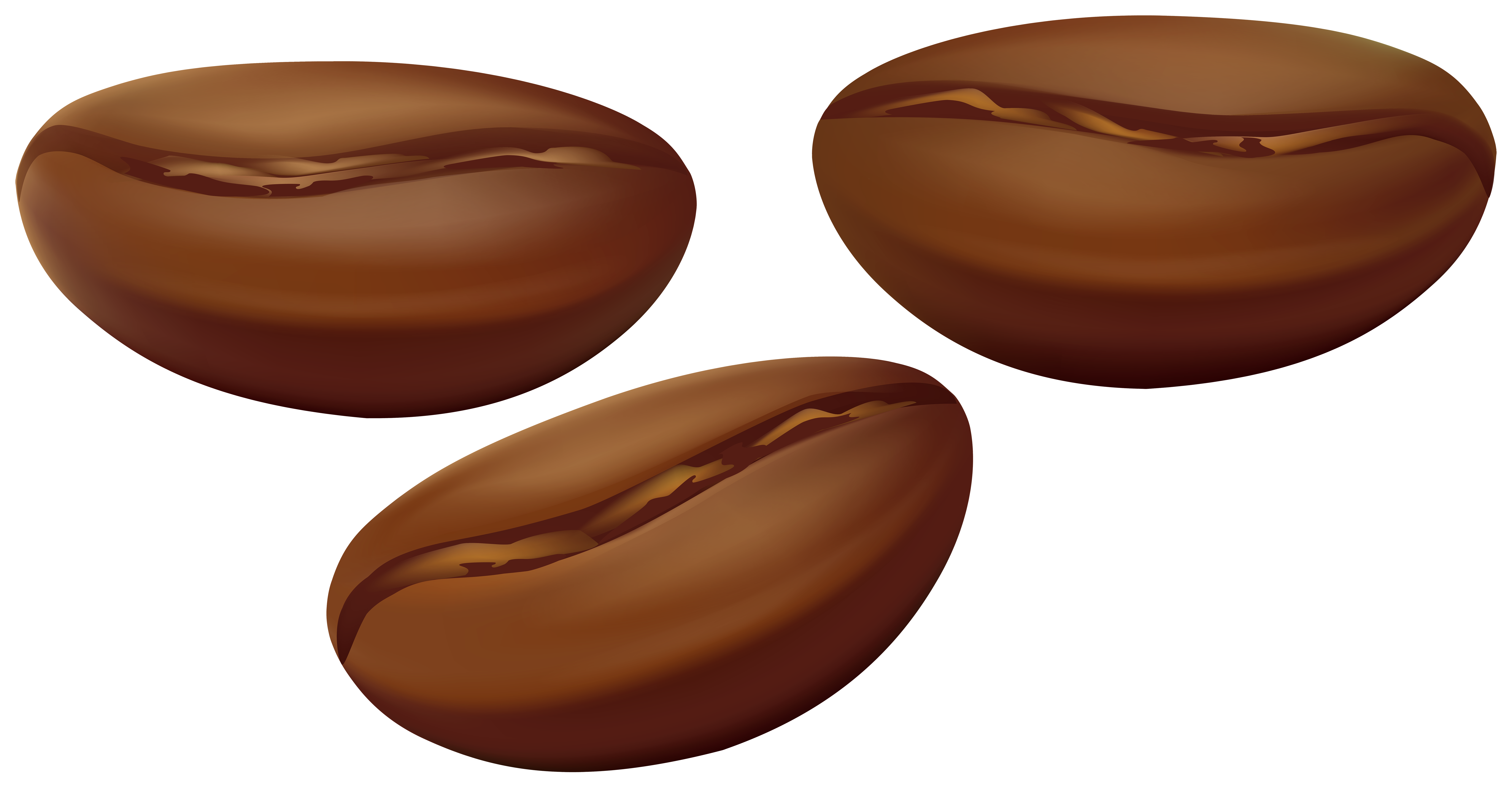 Free Transparent Coffee Beans, Download Free Transparent Coffee Beans