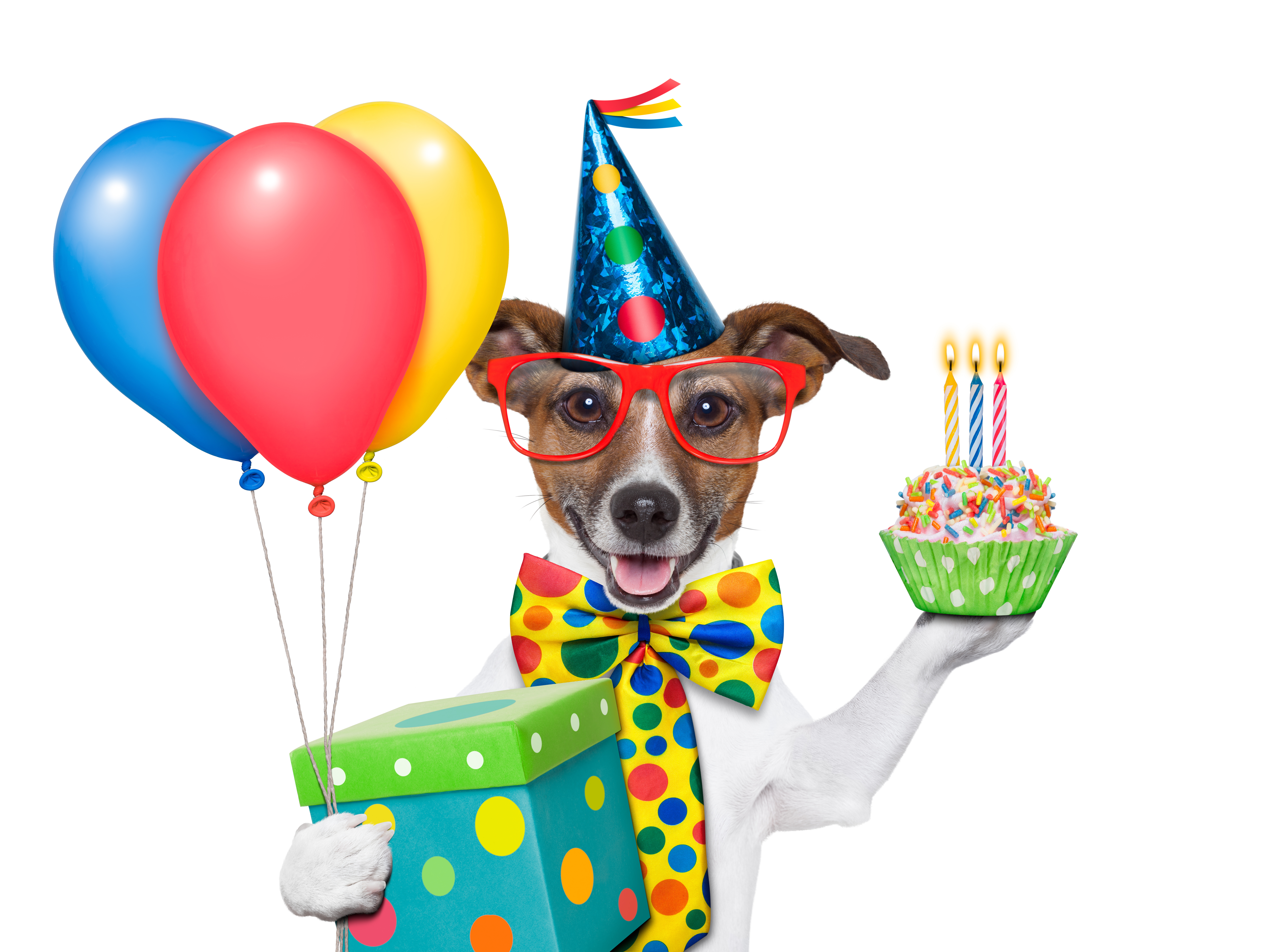Free Balloon Dog Cliparts, Download Free Balloon Dog Cliparts png