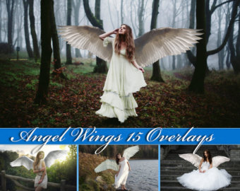Angel wings art 