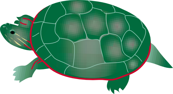 Big Green Turtles Clipart 
