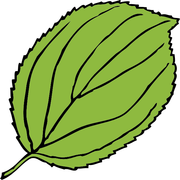 Big leaf clipart 